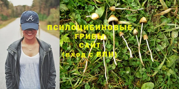 амф Арсеньев