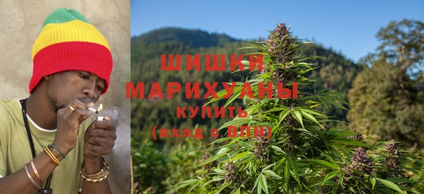 apvp Аркадак