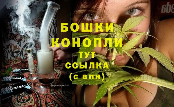 apvp Аркадак